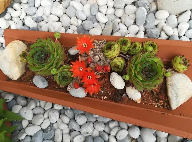 Otilija * Пореч