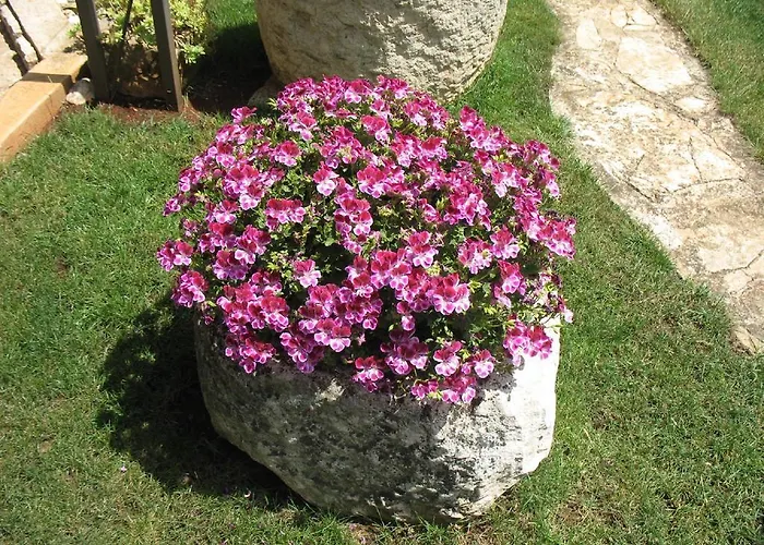 Otilija