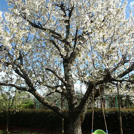 Otilija Apartament Poreč