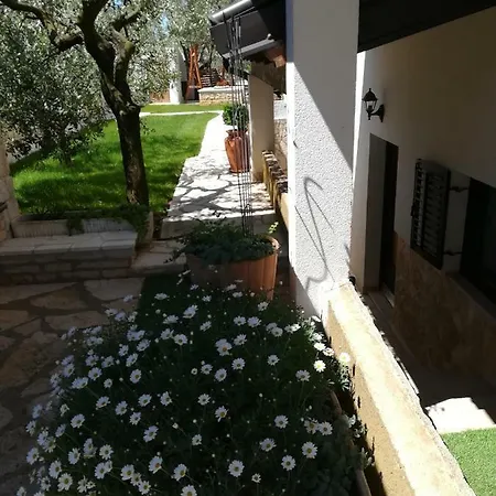 Otilija * פורץ