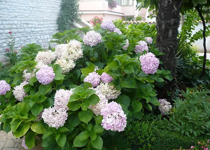 Appartement Otilija *